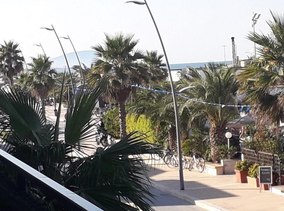 西维尔诺瓦·马尔凯Belo Horizonte住宿加早餐旅馆 外观 照片